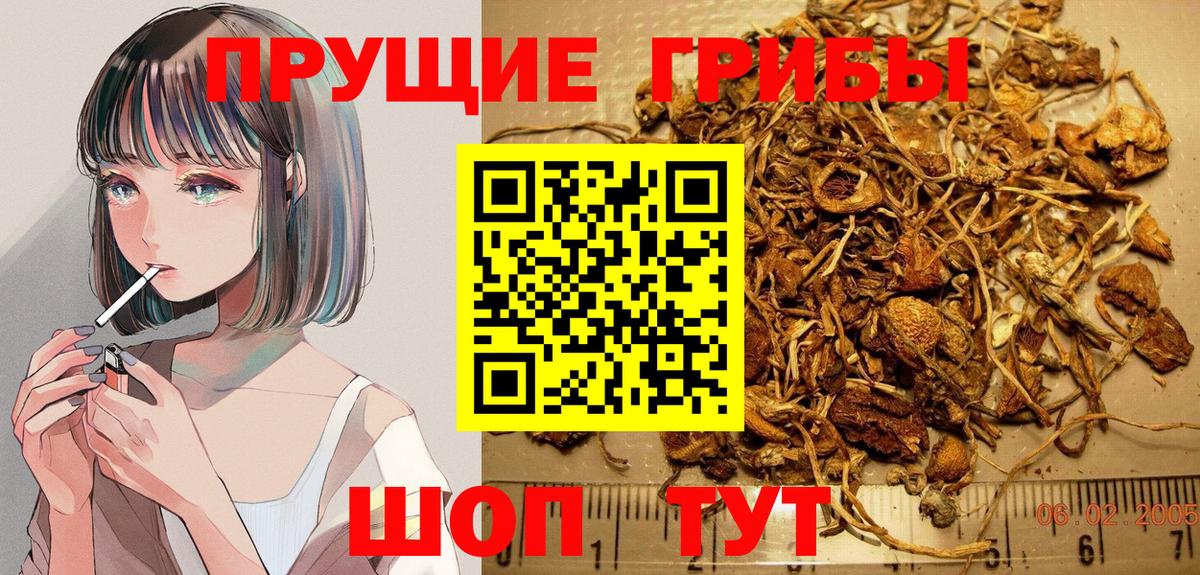Псилоцибиновые грибы Magic Shrooms  Псилоцибиновые грибы GOLDEN TEACHER  Полевской  Вход с VPN 